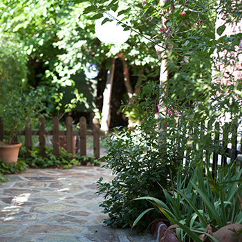 vignette atelier jardin CAUE Vienne 86