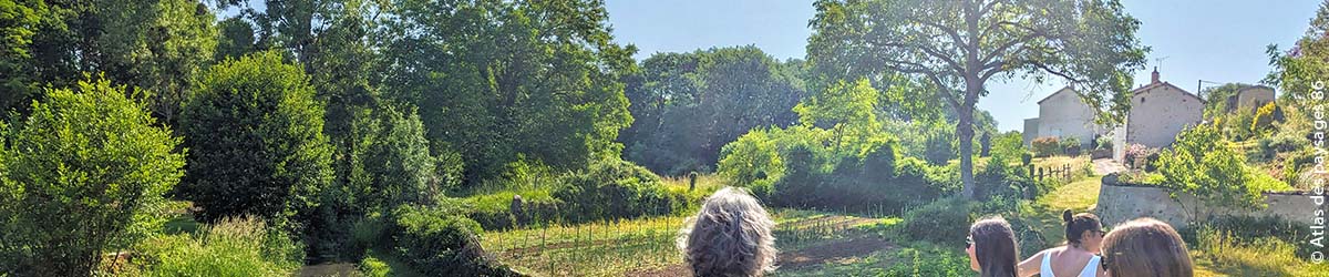 colloque adaptation changement climatique vienne 86