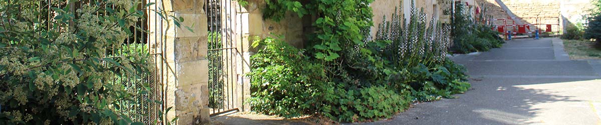 exposition jardiner la rue CAUE 86 Vienne vegetalisation espace public