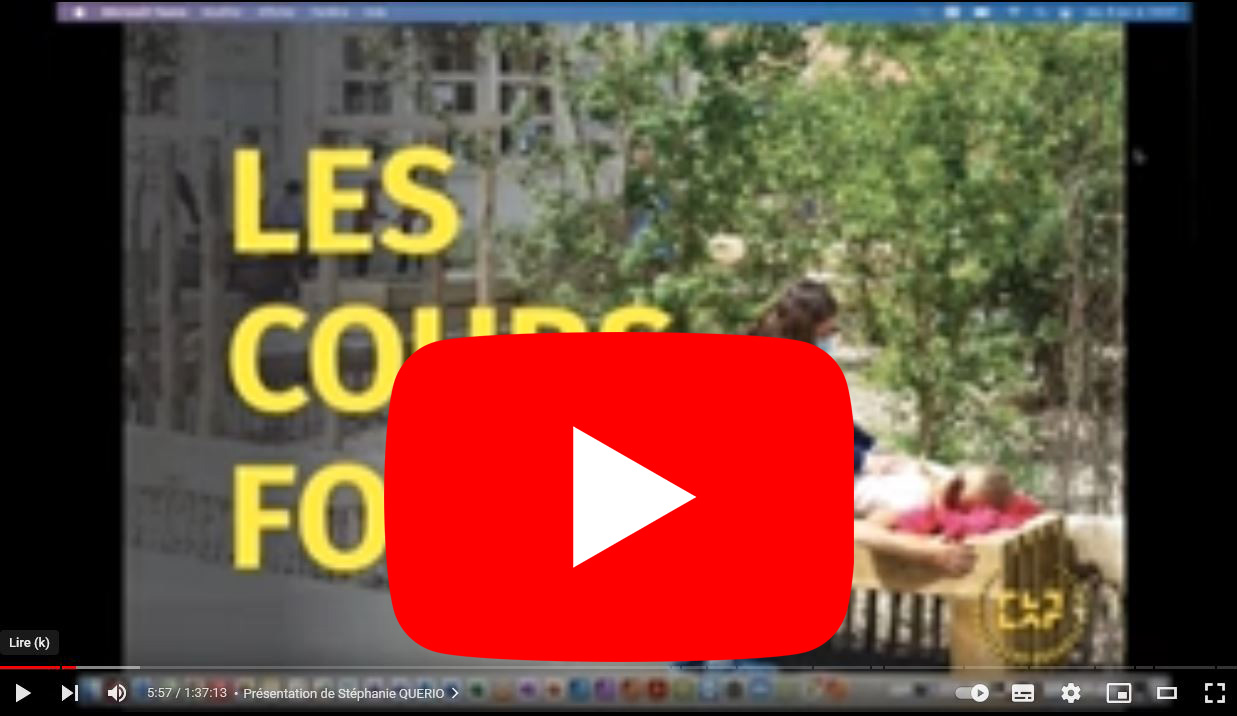 visio CAUE01 les cours forts