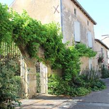 Exposition "Jardiner la rue"