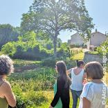 Colloque "La Vienne face au changement climatique" // 4 novembre 2025 à Nouaillé-Maupertuis